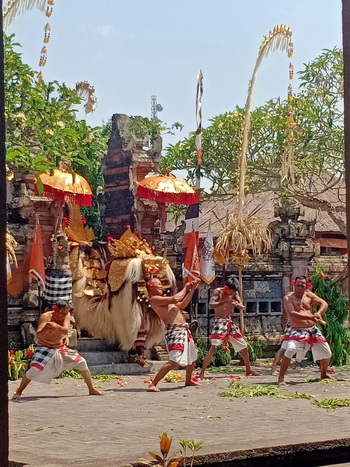 Galeri 1